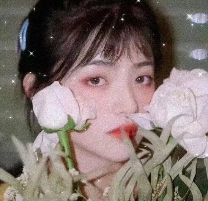 轻微盗窃案