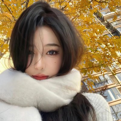 禁宫龙虎斗